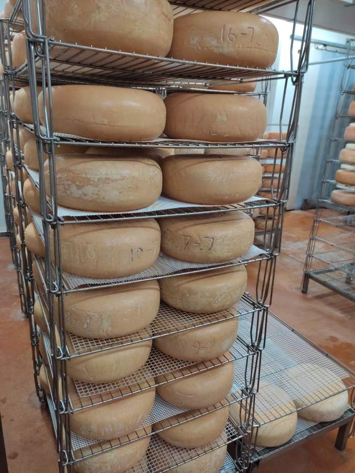 Fromages de brebis de fabrication artisanale Pau
