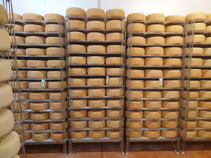 Succombez à l'authenticité de nos tommes pur brebis !