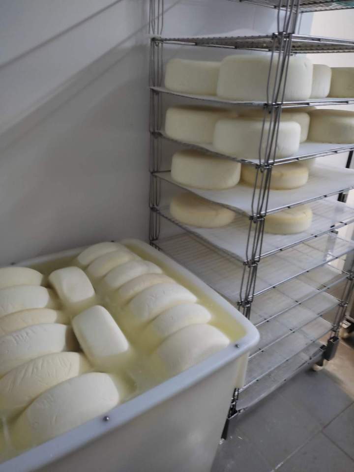 Grand choix de fromages fermiers frais Pau