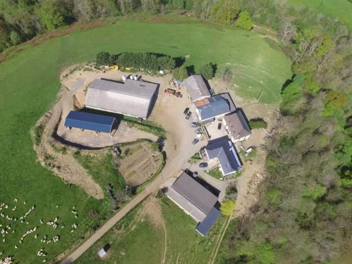 Fromages fermiers en vente locale Pau